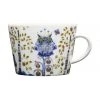 Hot Sale 💯 IITTALA Taika 200ml Coffee Cup White 👍