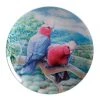 Buy 💯 Maxwell & Williams Birds of Australia Katherine Castle 10 Year Anniversary 20cm Galah Plate 🛒
