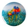Wholesale 🤩 Maxwell & Williams Birds of Australia Katherine Castle 10 Year Anniversary 20cm Lorikeet Plate ⌛