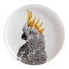 Best Pirce 🎁 Maxwell & Williams Marini Ferlazzo Birds Cockatoo 20cm Gift Boxed Plate ⭐
