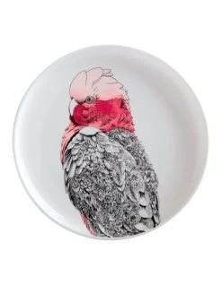 Cheap ⌛ Maxwell & Williams Marini Ferlazzo Birds Galah 20cm Gift Boxed Plate 🎁