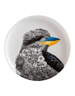 Budget ✔️ Maxwell & Williams Marini Ferlazzo Birds Kookaburra 20cm Gift Boxed Plate ✨