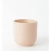 Coupon ⭐ Vue Desert Bloom Tea Cup Beaker Pink 🔔