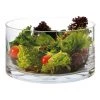 Best Pirce ✨ Maxwell & Williams Diamante 22cm Cylindrical Salad Bowl 😀
