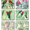 Wholesale ⭐ Cinnamon Australian Parrots set of 6 Placemats ⭐