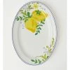 Top 10 ✔️ Heritage Lemon Oval Platter 🧨