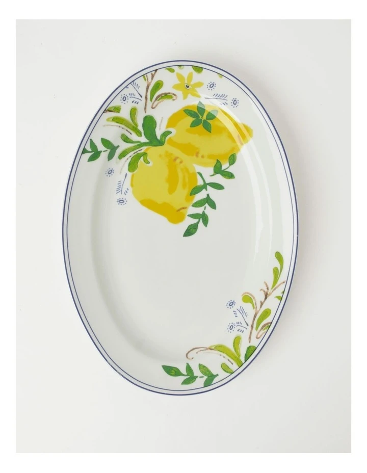 Top 10 โ๏ธ Heritage Lemon Oval Platter ๐งจ 1 Top 10 โ๏ธ Heritage Lemon Oval Platter ๐งจ