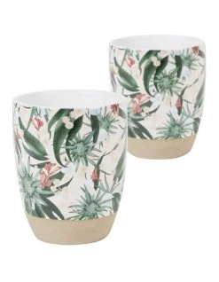 Wholesale ⌛ Robert Gordon X Louise Jones Latte 2Pk - Stellar Blush 🔔