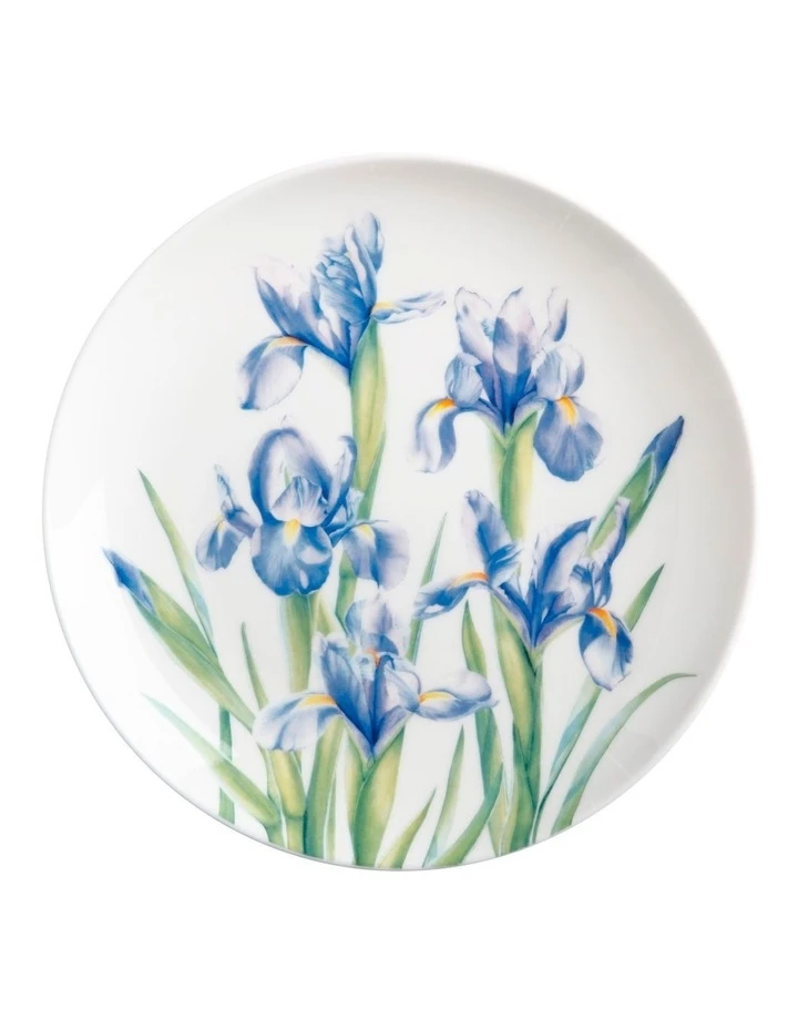 Budget 𧨠Maxwell & Williams Katherine Castle Floriade Plate 20cm Iris Gift Boxed βοΈ 1 Budget 𧨠Maxwell & Williams Katherine Castle Floriade Plate 20cm Iris Gift Boxed βοΈ