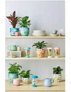 New ๐คฉ Maxwell & Williams Tint Snug Mug 450ML Jade ๐ 5 New ๐คฉ Maxwell & Williams Tint Snug Mug 450ML Jade ๐ -Savor Home Store 850098880 3 720x928