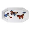 Best deal 🛒 Robert Gordon X Bromley Butterfly Rectangle Platter White 🎁